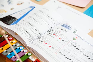 九游登录中心-中小学体育课安全教育实施现状研究，体育课堂安全背景下的小学体育课现状